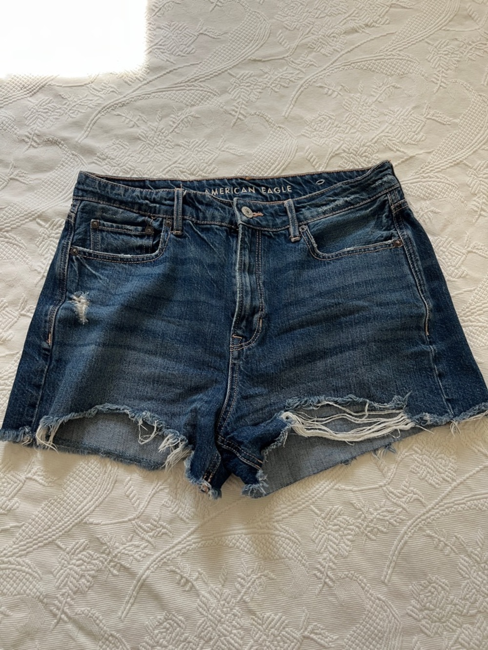 American Eagle Outfitters Distressed Blue Denim Cutoff Shorts